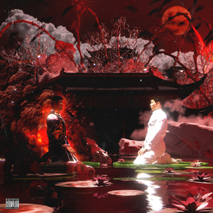 白峰美羽最好看的3部剧
