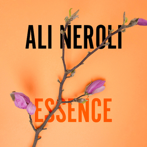 白峰美羽最好看的3部剧
