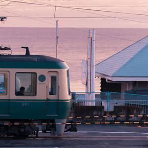 白峰美羽最好看的3部剧
