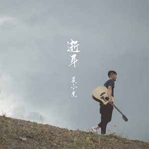 白峰美羽最好看的3部剧
