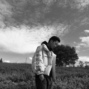 白峰美羽最好看的3部剧
