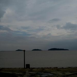 白峰美羽最好看的3部剧
