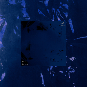 白峰美羽最好看的3部剧
